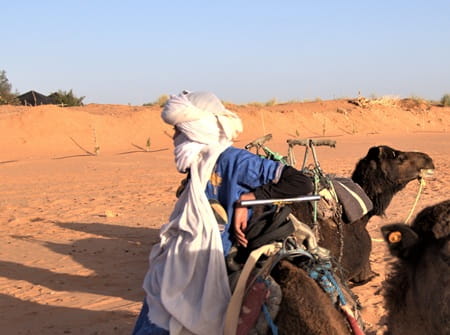désert dromadaires nomade