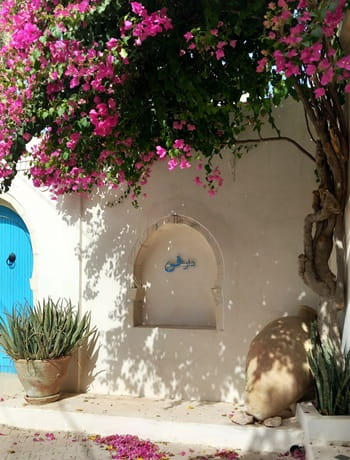 maison fleurs maroc