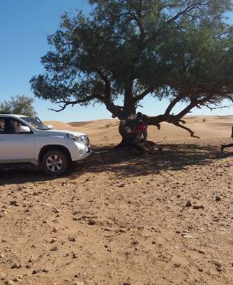meilleure période excursion désert marocain