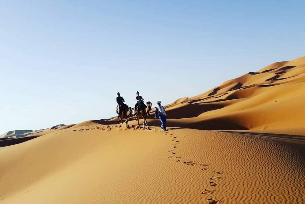 excursion Sahara maroc dromadaires