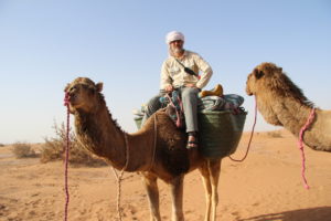 excursion désert Maroc dromadaires