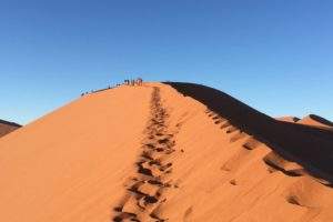 excursion désert marocain
