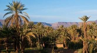 excursion desert Ouarzazate