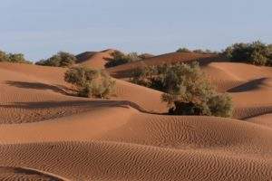 excursion désert marocain