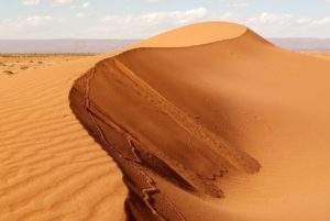trek désert Sahara