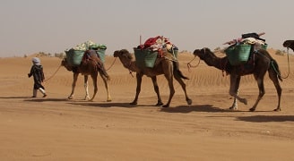 Morocco desert trek