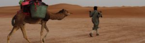 camel trek morocco