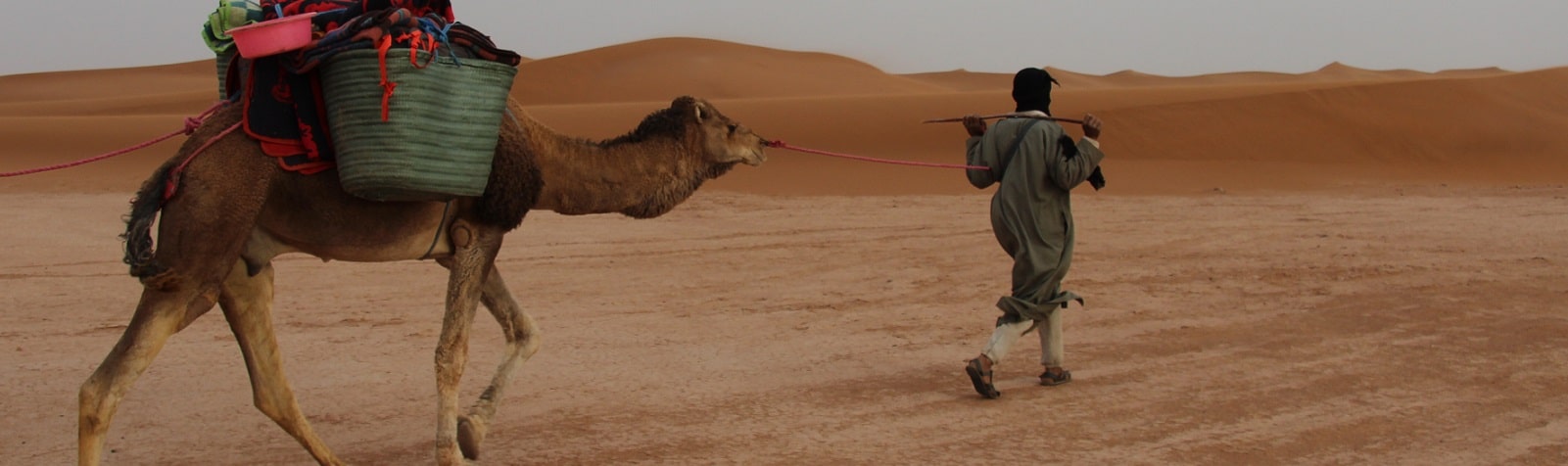 sahara camel trekking tour 