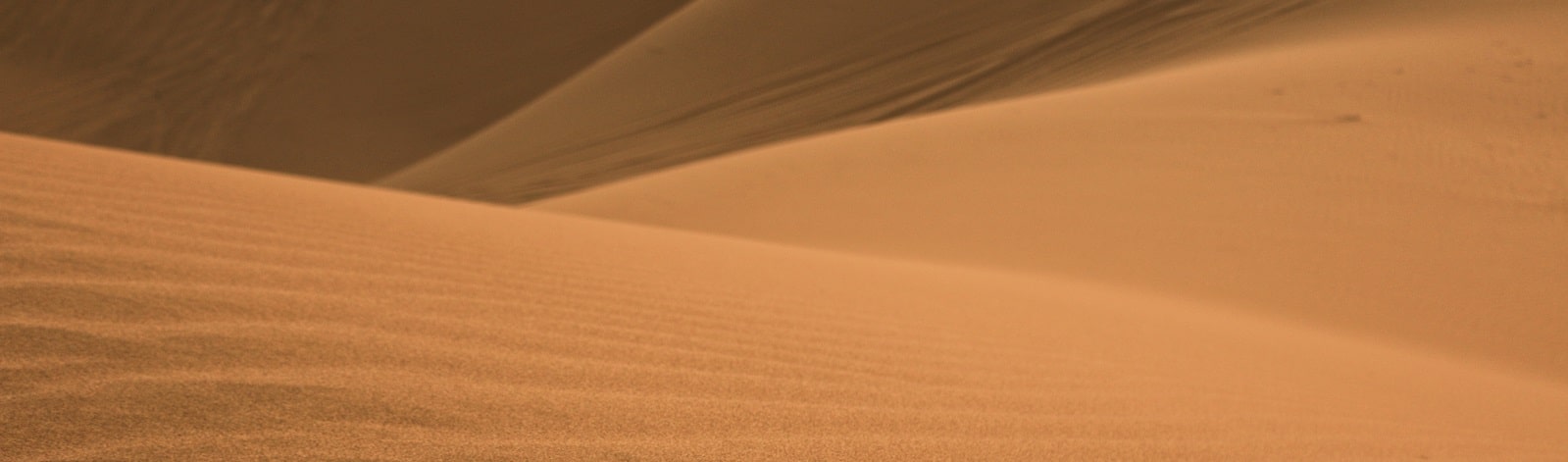 zagora desert tour