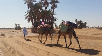 Morocco desert excursion