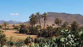 Excursions Agadir