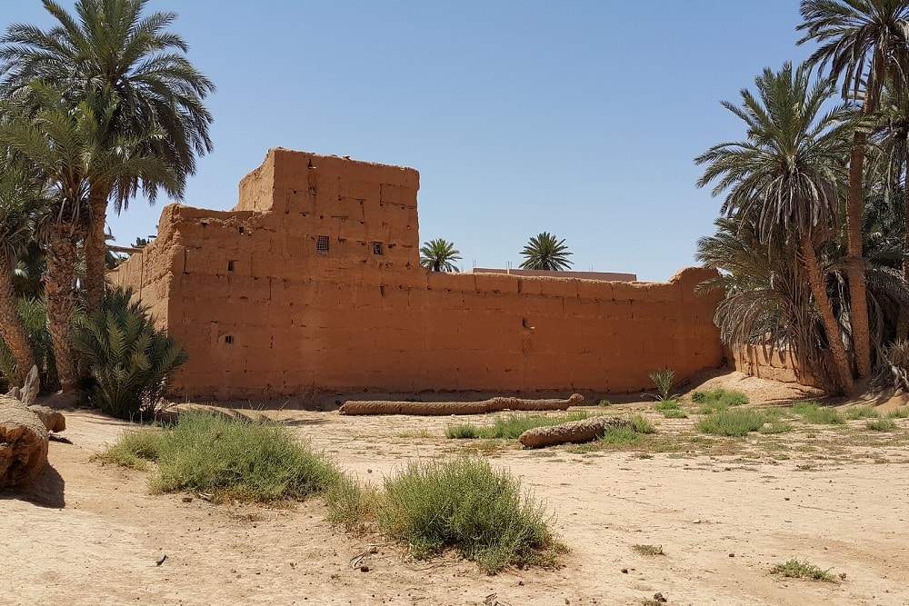 Ouarzazate Oasis