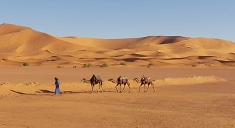 Merzouga camel trek