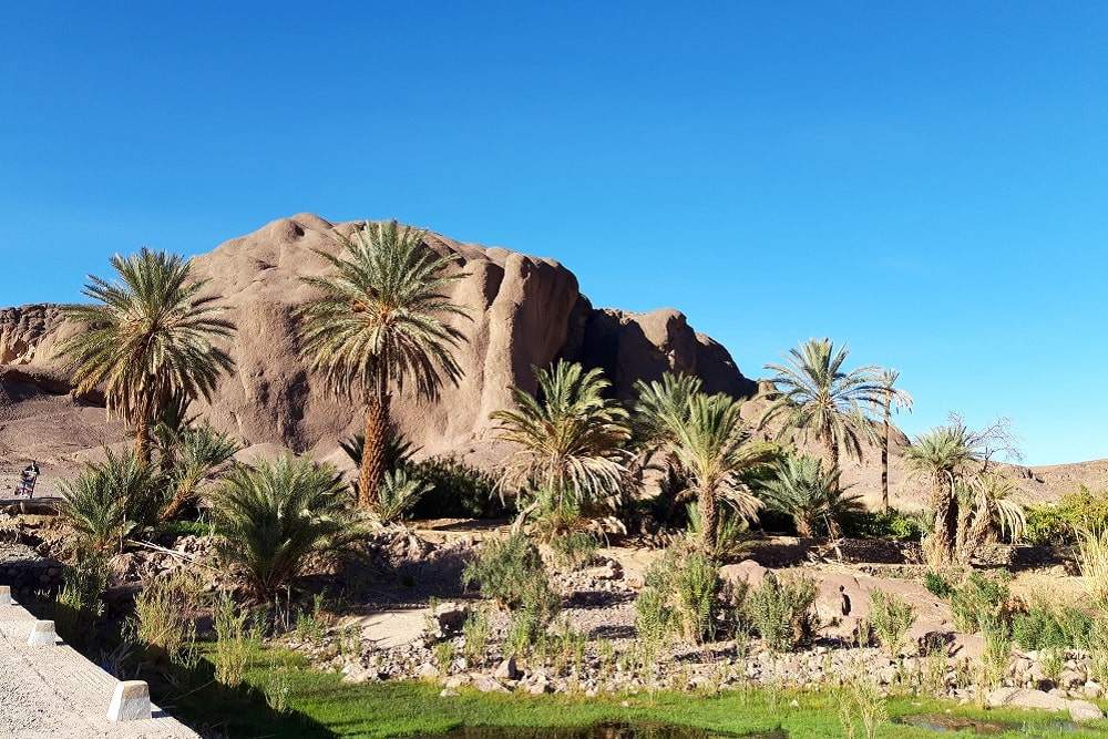Oasis de Fint Ouarzazate