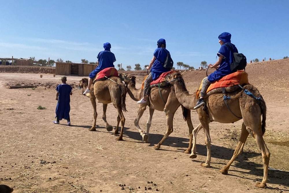 excursion dromadaire marrakech