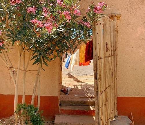 Taroudant and Oasis of Tiout