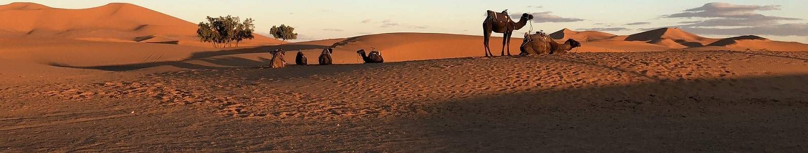 excursion marrakech désert, circuit désert marrakech