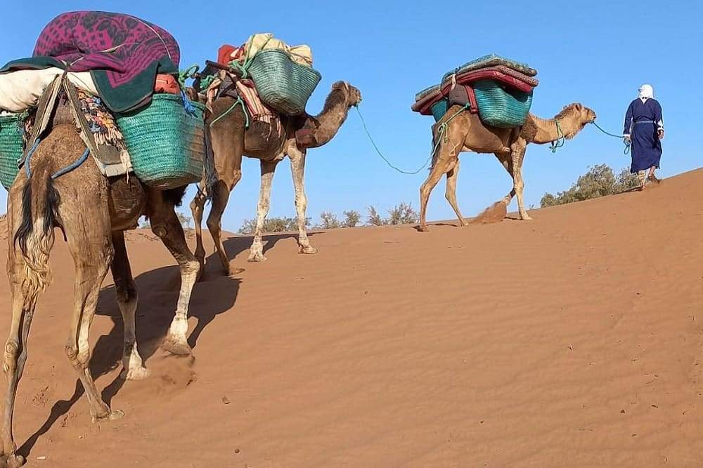 trek Sahara Maroc
