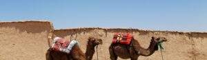 Marrakech private day tours