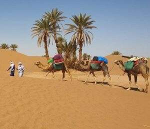 trek maroc sahara