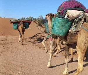 trekking maroc désert