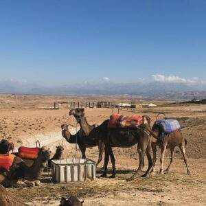 désert de marrakech