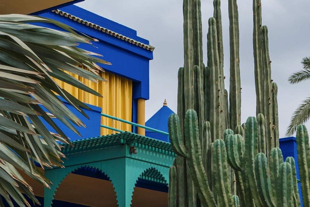 Jardin Majorelle Marrakech
