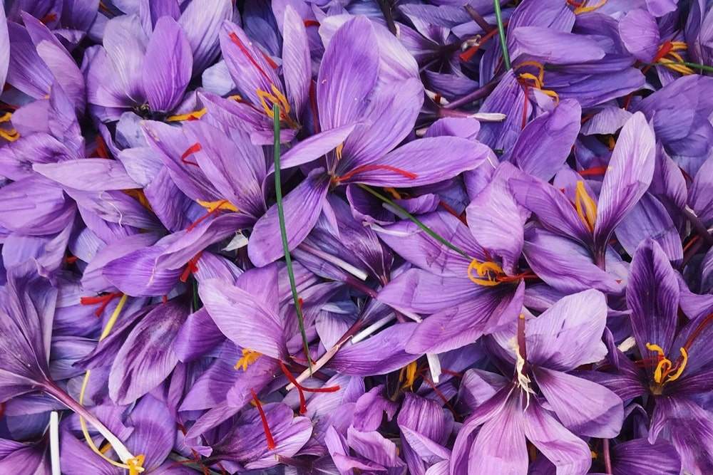 Safran Maroc Taliouine