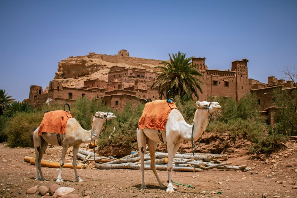 Aït Ben Haddou Maroc