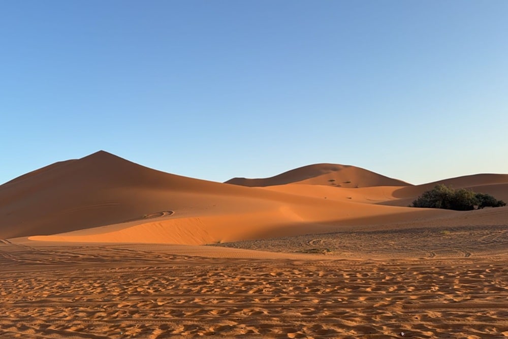 erg chebbi desert dunes