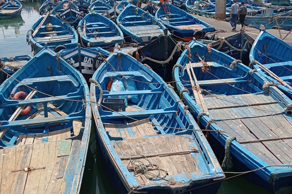 Essaouira fishing port Essaouira Maroc