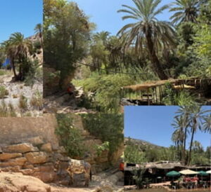 Vallée du Paradis Maroc Agadir