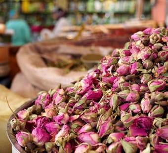 Vallée des roses Maroc